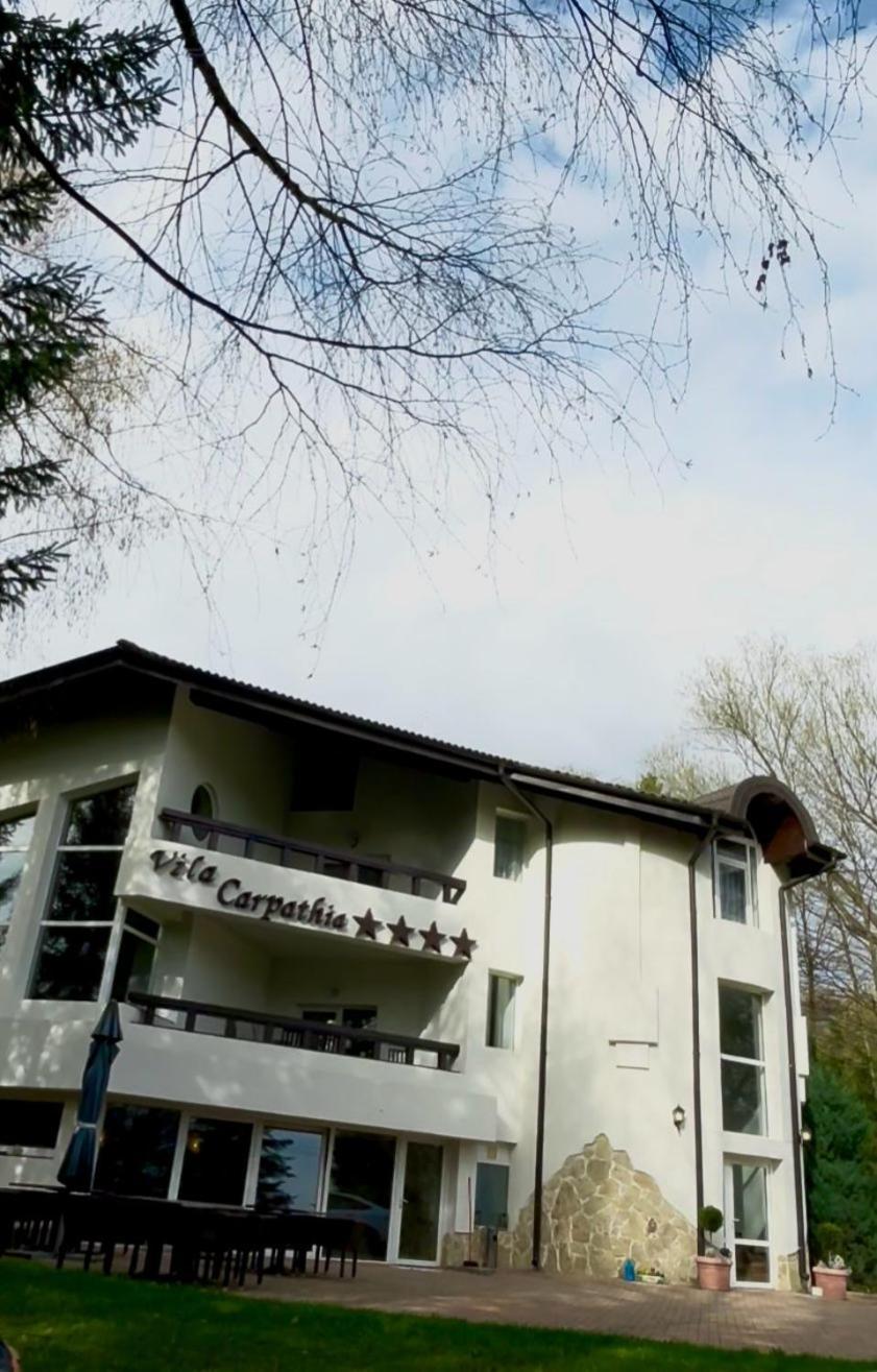 Vila Carpathia Bran  Exterior photo