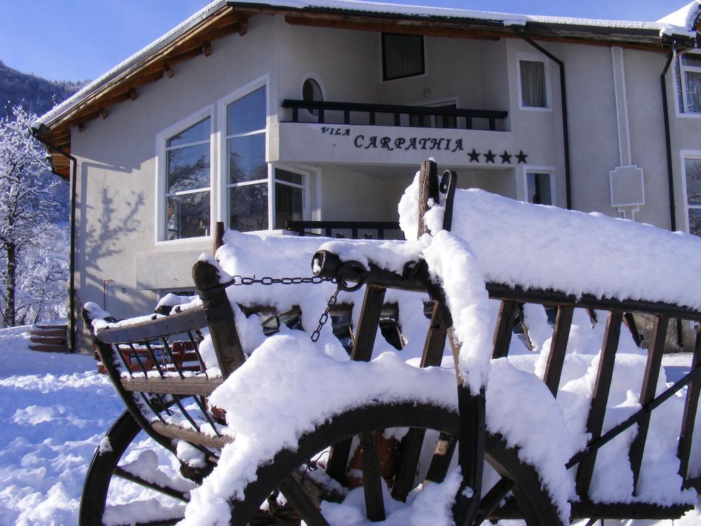 Vila Carpathia Bran  Exterior photo
