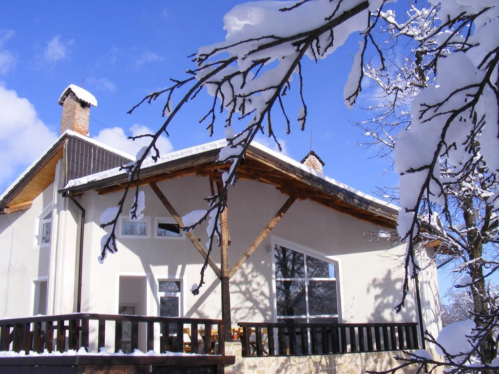 Vila Carpathia Bran  Exterior photo