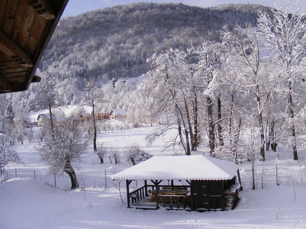 Vila Carpathia Bran  Exterior photo